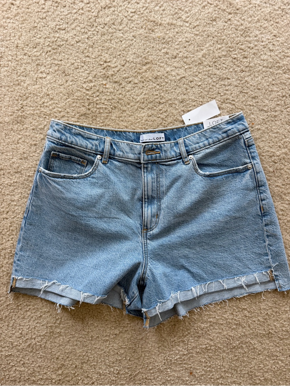 NWT loft cut off high rise Jean shorts 30 10 light wash
